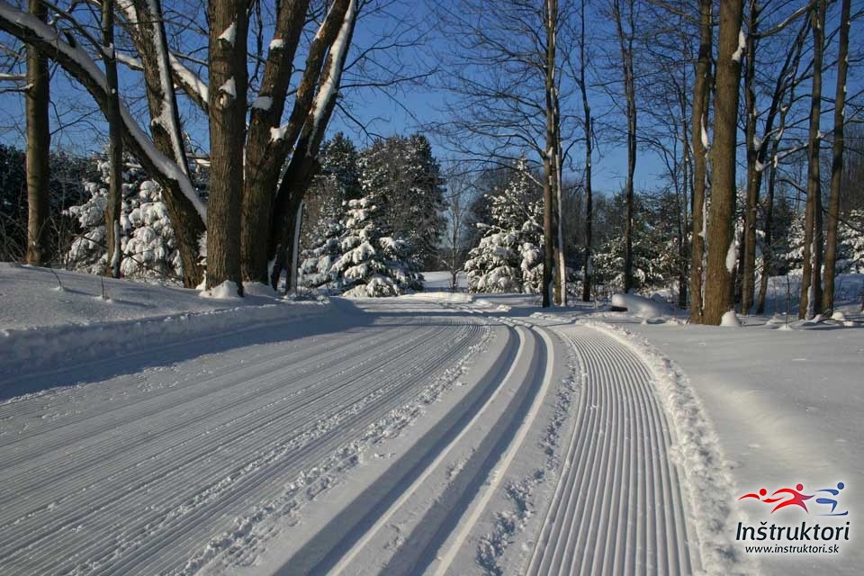Kojšovka bežkárske trate